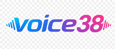 voice38 logo